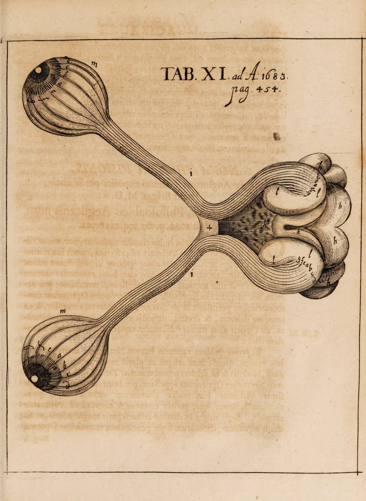 An illustration from Acta eruditorum. 1683, 1683, leaf 475
