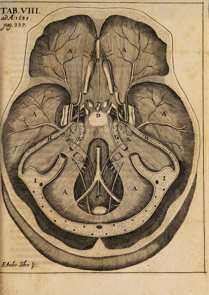 An illustration from Acta eruditorum. 1685, 1685, leaf 357