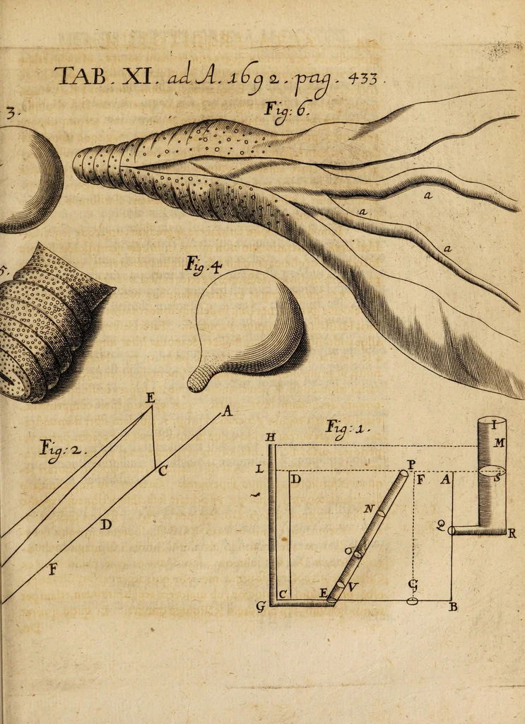 An illustration from Acta eruditorum. 1692, 1692, leaf 457