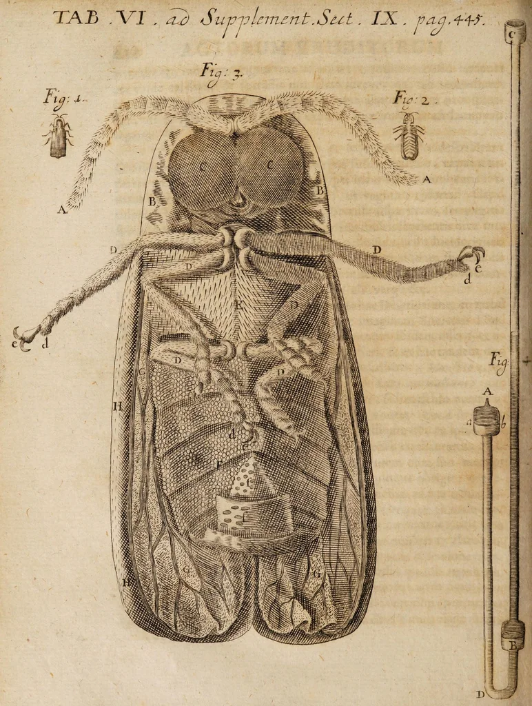 An illustration from Acta eruditorum. Supplementa. Tomus I., 1692, 1692, leaf 464