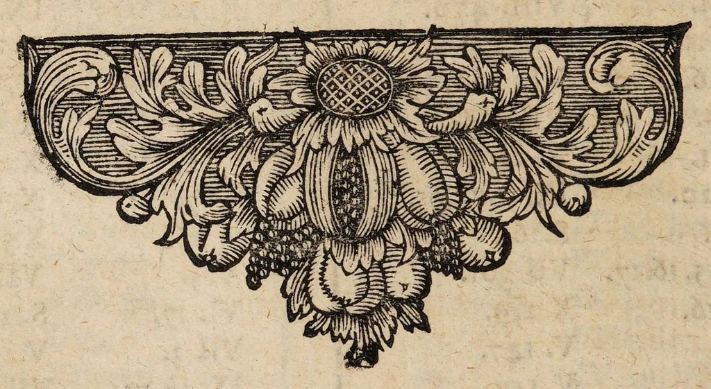 An illustration from Acta eruditorum. Supplementa. Tomus I., 1692, 1692, leaf 950