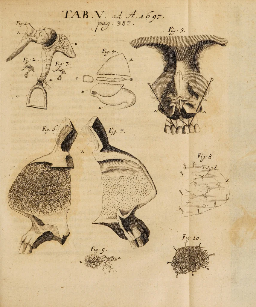 An illustration from Acta eruditorum. 1697, 1697, leaf 403