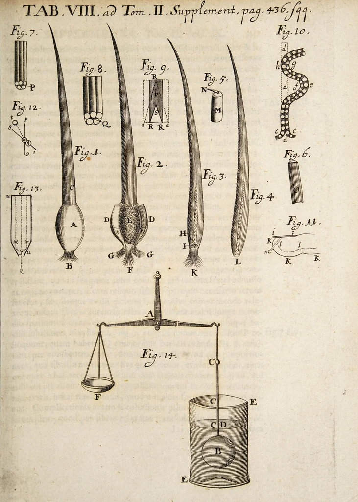 An illustration from Acta eruditorum. Supplementa. Tomus II., 1696, 1696, leaf 453