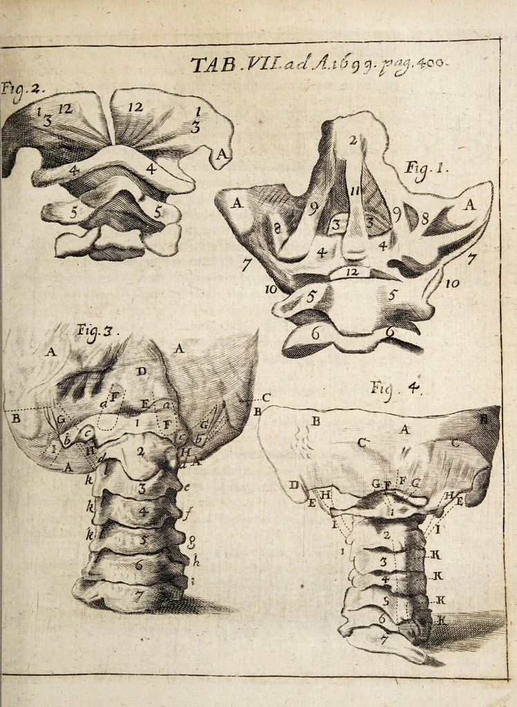 An illustration from Acta eruditorum. 1699, 1699, leaf 413