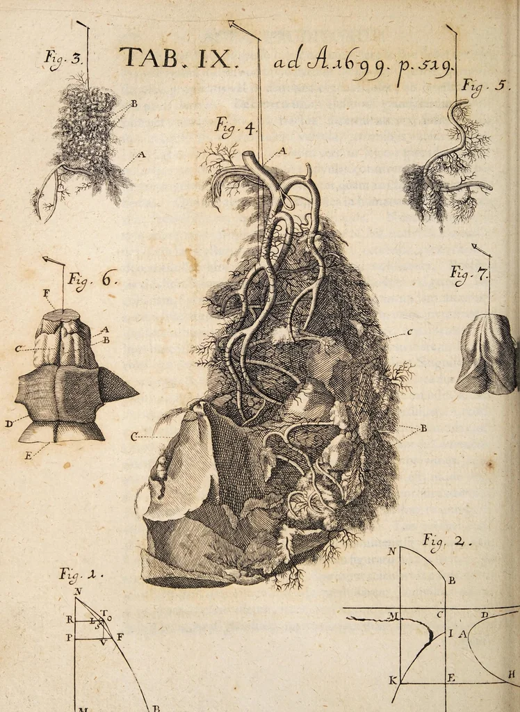 An illustration from Acta eruditorum. 1699, 1699, leaf 536