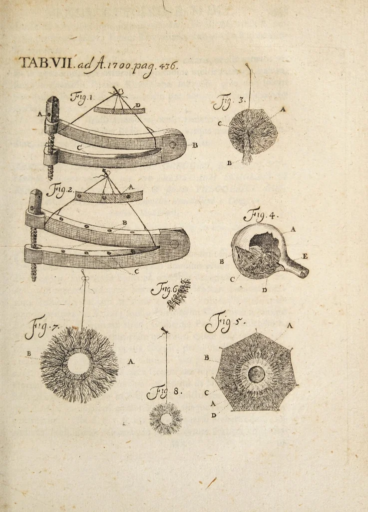 An illustration from Acta eruditorum. 1700, 1700, leaf 451