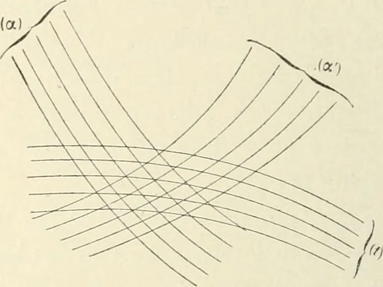 An illustration from Bulletin des sciences mathématiques, 1870, leaf 295
