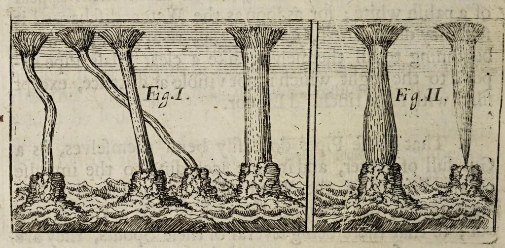 An illustration from Weekly memorials for the ingenious : or, An account of books lately set forth in several languages. With other accounts relating arts and sciences. 1682-1683., 1683, leaf 218