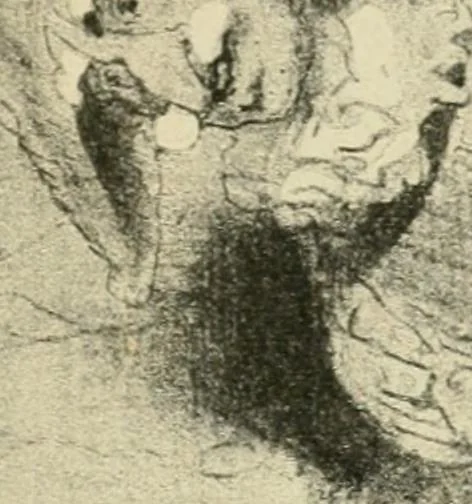An illustration from Les maîtres humoristes, les meilleurs dessins, les meilleures legendes, 1905, leaf 16