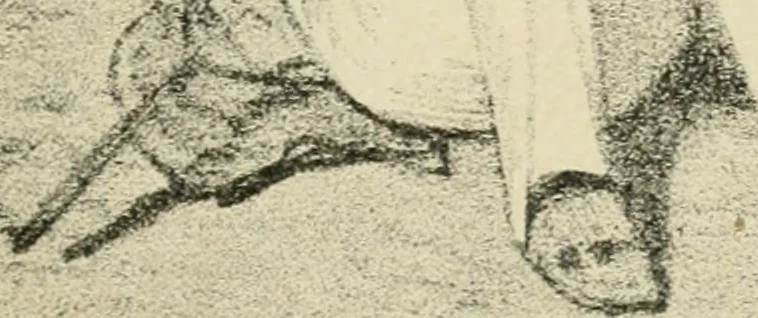 An illustration from Les maîtres humoristes, les meilleurs dessins, les meilleures legendes, 1905, leaf 162