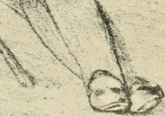 An illustration from Les maîtres humoristes, les meilleurs dessins, les meilleures legendes, 1905, leaf 162