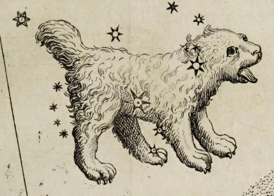 An illustration from Giornale de' letterati. 1687, 1687, leaf 125