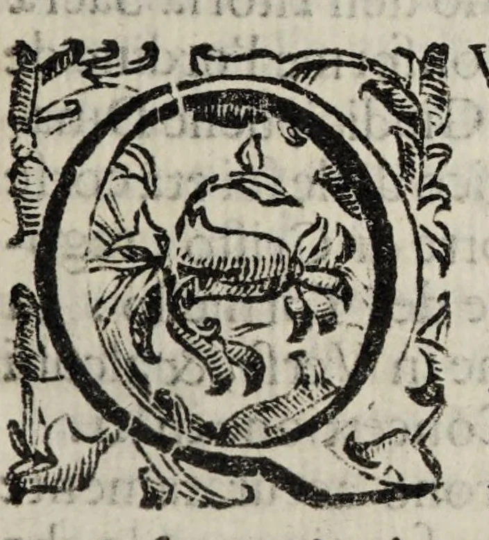 An illustration from Giornale de' letterati. 1687, 1687, leaf 191