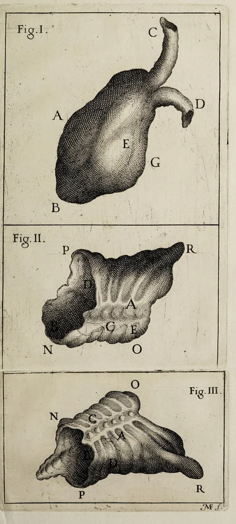 An illustration from Giornale de' letterati. 1687, 1687, leaf 271