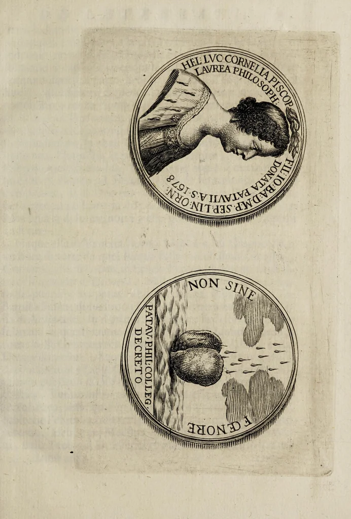 An illustration from Giornale de' letterati. 1687, 1687, leaf 31
