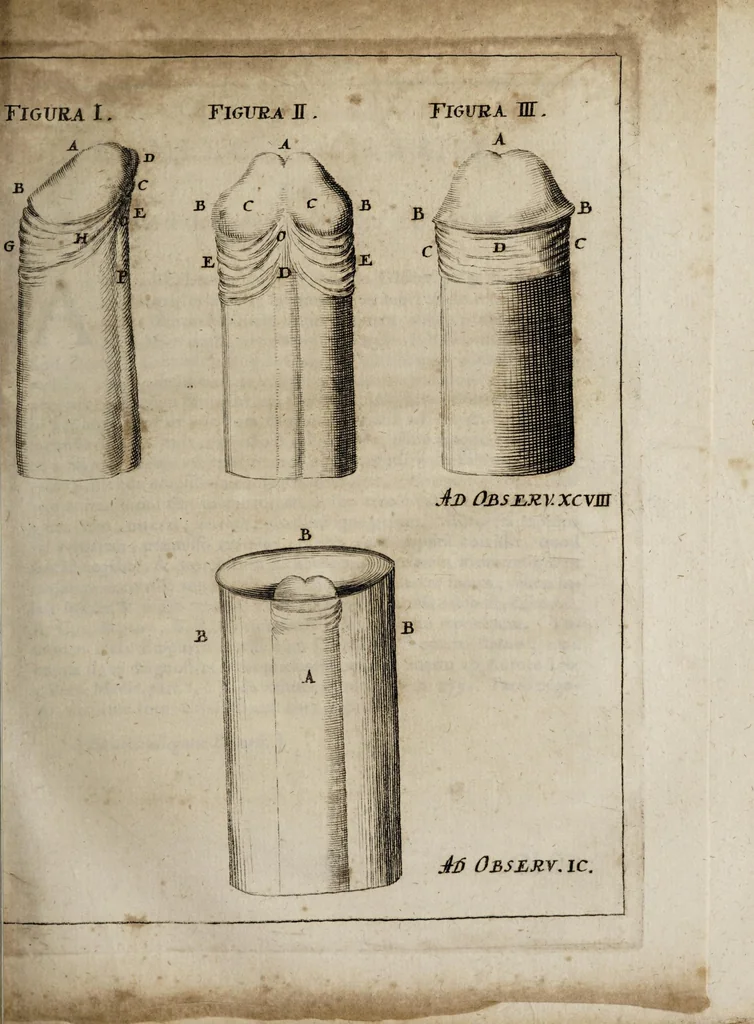 An illustration from Miscellanea curiosa medico-physica Academiæ Naturæ curiosorum, sive, Ephemeridum medico-physicarum Germanicarum curiosarum. 1672., 1672, leaf 209