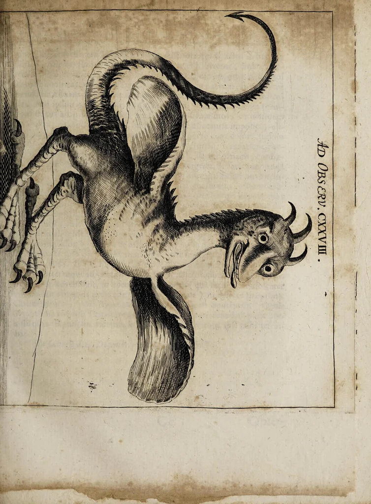 An illustration from Miscellanea curiosa medico-physica Academiæ Naturæ curiosorum, sive, Ephemeridum medico-physicarum Germanicarum curiosarum. 1672., 1672, leaf 255