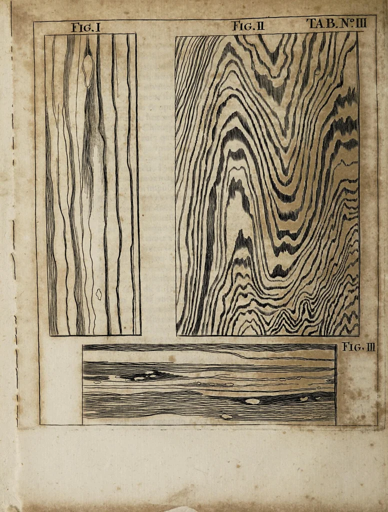 An illustration from Miscellanea curiosa medico-physica Academiæ Naturæ curiosorum, sive, Ephemeridum medico-physicarum Germanicarum curiosarum. 1672., 1672, leaf 36
