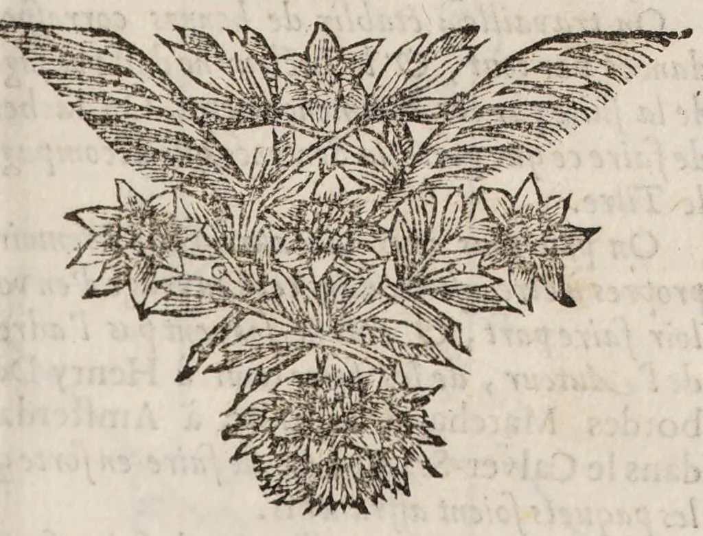 An illustration from Nouvelles de la république des lettres. March - July 1684., 1684, leaf 349