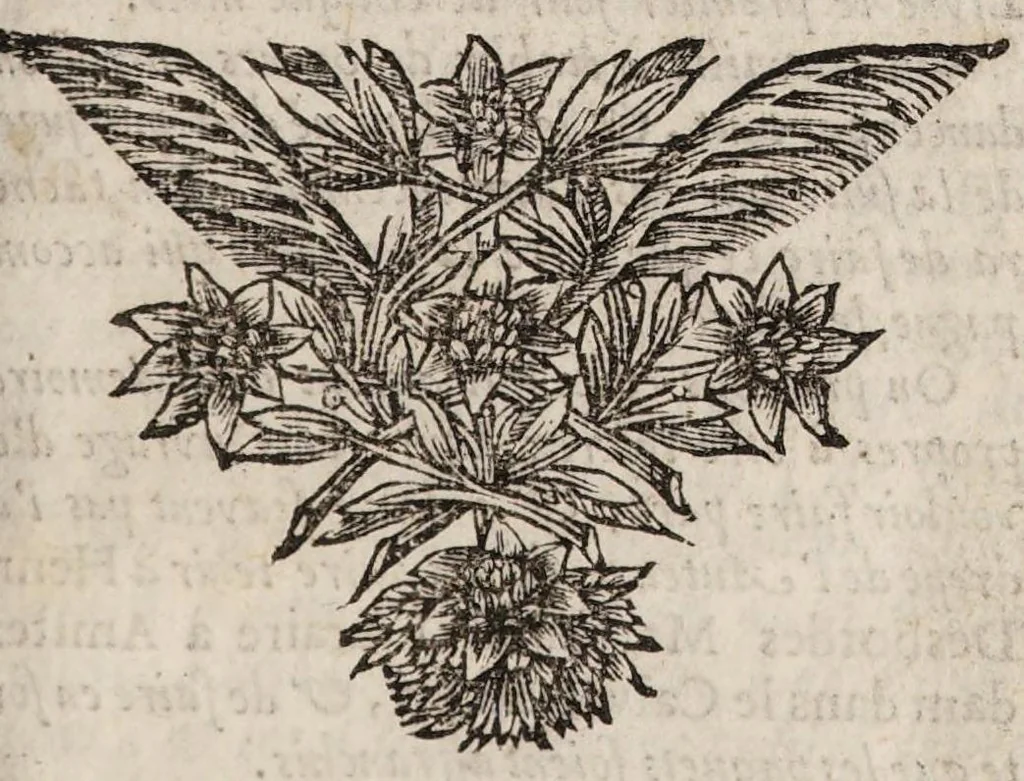 An illustration from Nouvelles de la république des lettres. March - July 1684., 1684, leaf 7