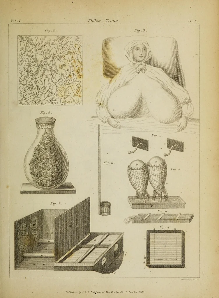 An illustration from The philosophical transactions of the Royal Society of London, from their commencement, in 1665, to the year 1800 : abridged, with notes and biographical illustrations / by Charles Hutton, George Shaw, Richard Pearson. Volume 1, 1665-1672., 1672, leaf 49
