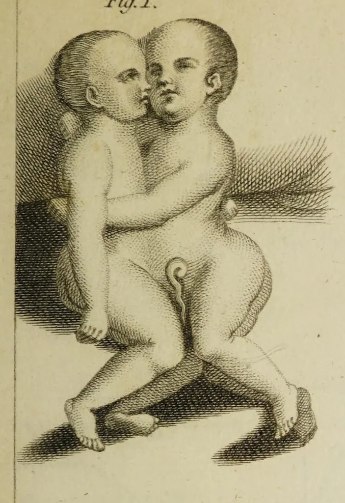 An illustration from The philosophical transactions of the Royal Society of London, from their commencement, in 1665, to the year 1800 : abridged, with notes and biographical illustrations / by Charles Hutton, George Shaw, Richard Pearson. Volume 1, 1665-1672., 1672, leaf 55