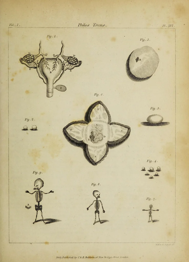 An illustration from The philosophical transactions of the Royal Society of London, from their commencement, in 1665, to the year 1800 : abridged, with notes and biographical illustrations / by Charles Hutton, George Shaw, Richard Pearson. Volume 1, 1665-1672., 1672, leaf 61