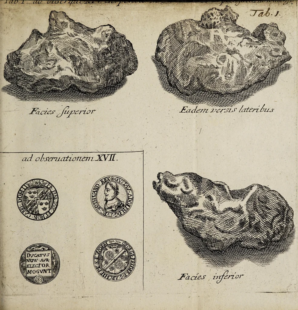 An illustration from Miscellanea medico-physica Academiae Naturae Curiosorum Germaniae : in quibus plurimae et novae observationes, medicae, chirurgicae, anatomicae, therapeuticae, physicae, chymicae, & botanicae, continentur. Cum figuris aeneis. 1672., 1672, leaf 13