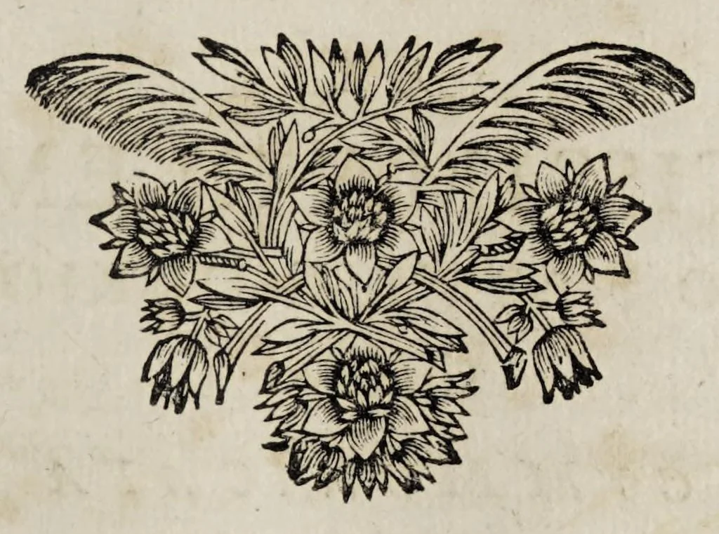 An illustration from Miscellanea medico-physica Academiae Naturae Curiosorum Germaniae : in quibus plurimae et novae observationes, medicae, chirurgicae, anatomicae, therapeuticae, physicae, chymicae, & botanicae, continentur. Cum figuris aeneis. 1672., 1672, leaf 255