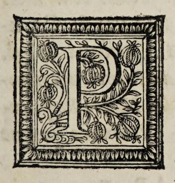 An illustration from Miscellanea medico-physica Academiae Naturae Curiosorum Germaniae : in quibus plurimae et novae observationes, medicae, chirurgicae, anatomicae, therapeuticae, physicae, chymicae, & botanicae, continentur. Cum figuris aeneis. 1672., 1672, leaf 3