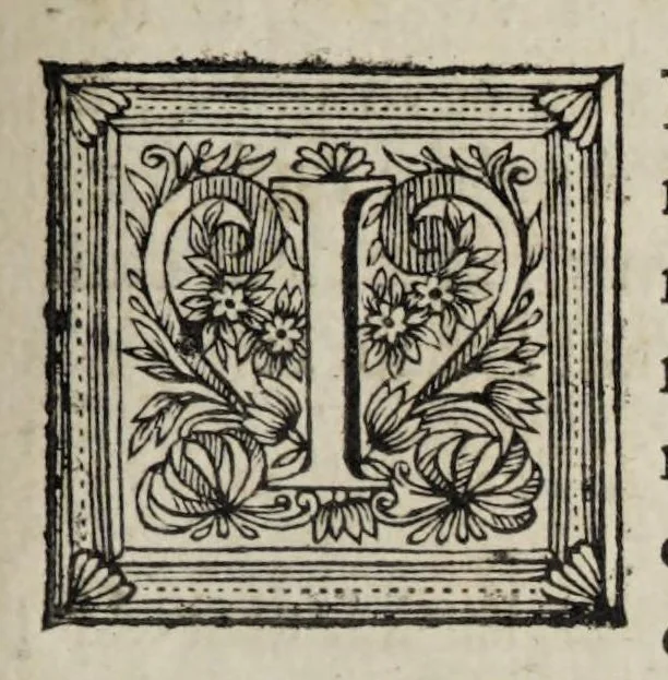An illustration from Miscellanea medico-physica Academiae Naturae Curiosorum Germaniae : in quibus plurimae et novae observationes, medicae, chirurgicae, anatomicae, therapeuticae, physicae, chymicae, & botanicae, continentur. Cum figuris aeneis. 1672., 1672, leaf 327