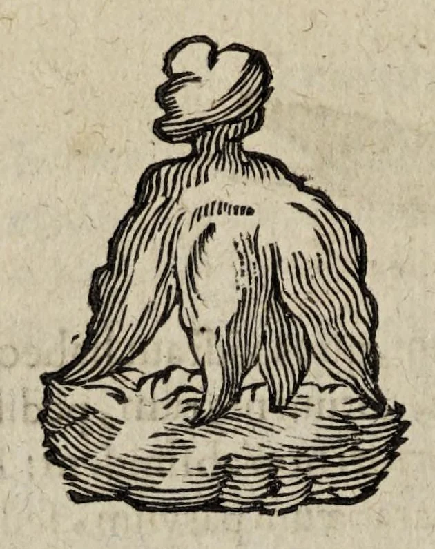 An illustration from Miscellanea curiosa medico-physica Academiæ Naturæ curiosorum, sive, Ephemeridum medico-physicarum Germanicarum curiosarum. 1673-1674., 1674, leaf 98