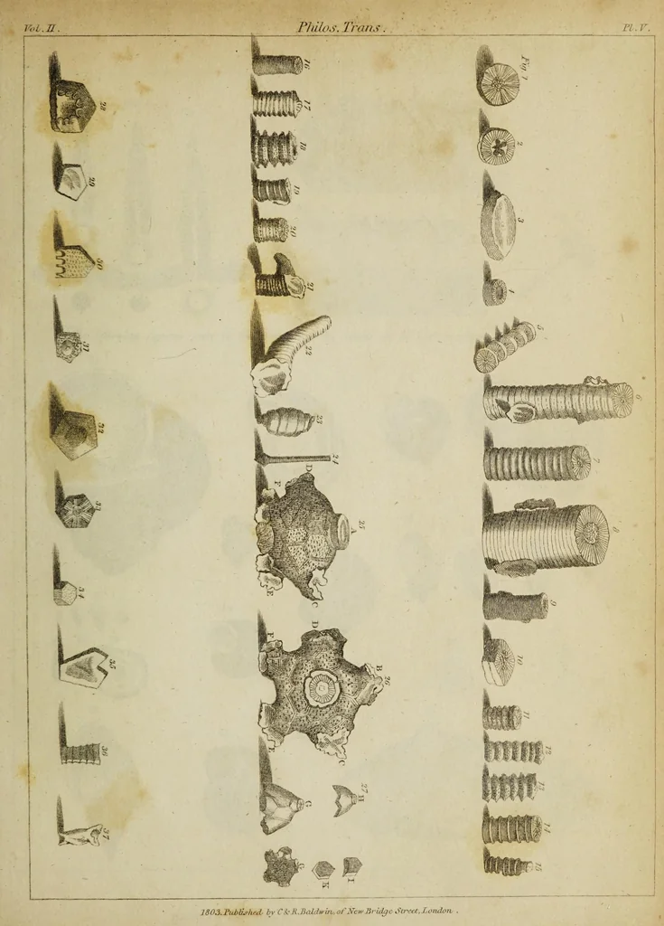 An illustration from The philosophical transactions of the Royal Society of London, from their commencement, in 1665, to the year 1800 : abridged, with notes and biographical illustrations / by Charles Hutton, George Shaw, Richard Pearson. Volume 2, 1672-1683., 1683, leaf 29