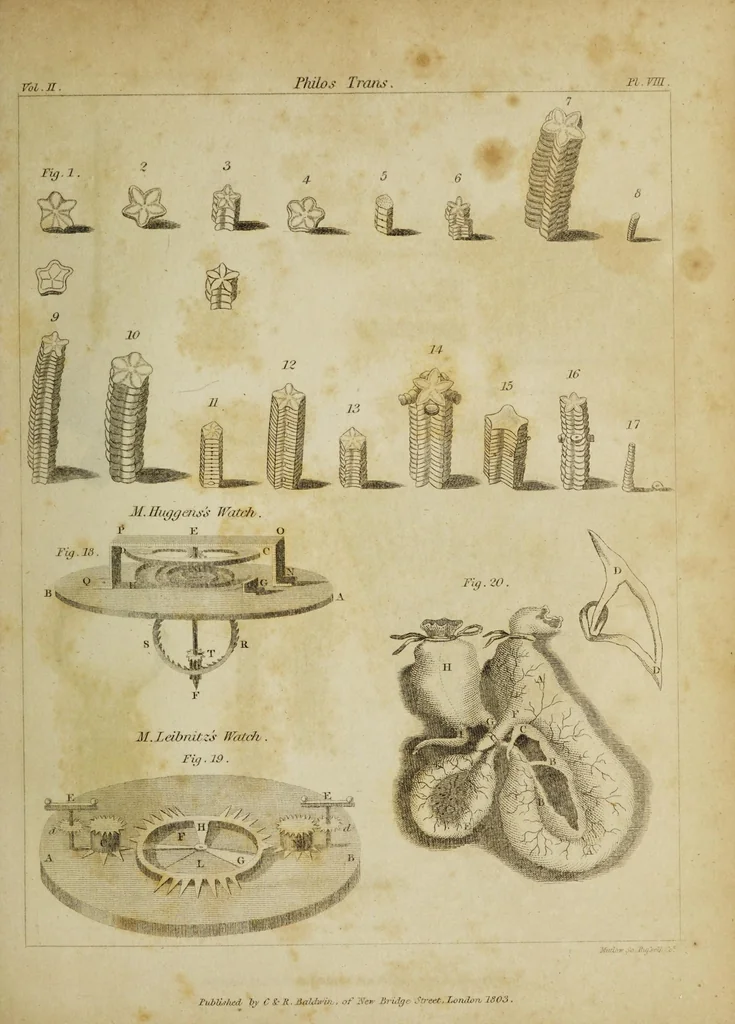 An illustration from The philosophical transactions of the Royal Society of London, from their commencement, in 1665, to the year 1800 : abridged, with notes and biographical illustrations / by Charles Hutton, George Shaw, Richard Pearson. Volume 2, 1672-1683., 1683, leaf 35