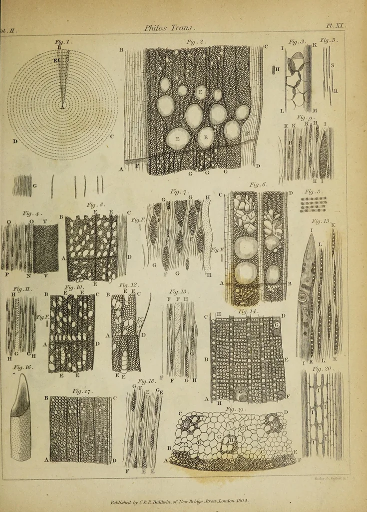 An illustration from The philosophical transactions of the Royal Society of London, from their commencement, in 1665, to the year 1800 : abridged, with notes and biographical illustrations / by Charles Hutton, George Shaw, Richard Pearson. Volume 2, 1672-1683., 1683, leaf 57