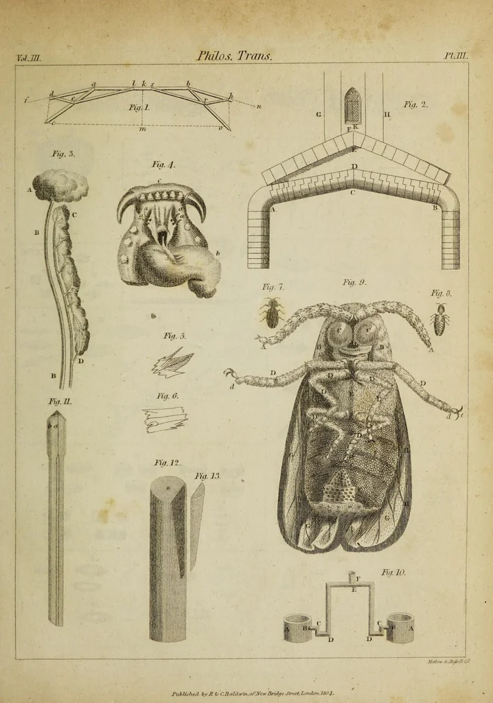 An illustration from The philosophical transactions of the Royal Society of London, from their commencement, in 1665, to the year 1800 : abridged, with notes and biographical illustrations / by Charles Hutton, George Shaw, Richard Pearson. Volume 3, 1683-1694., 1694, leaf 25
