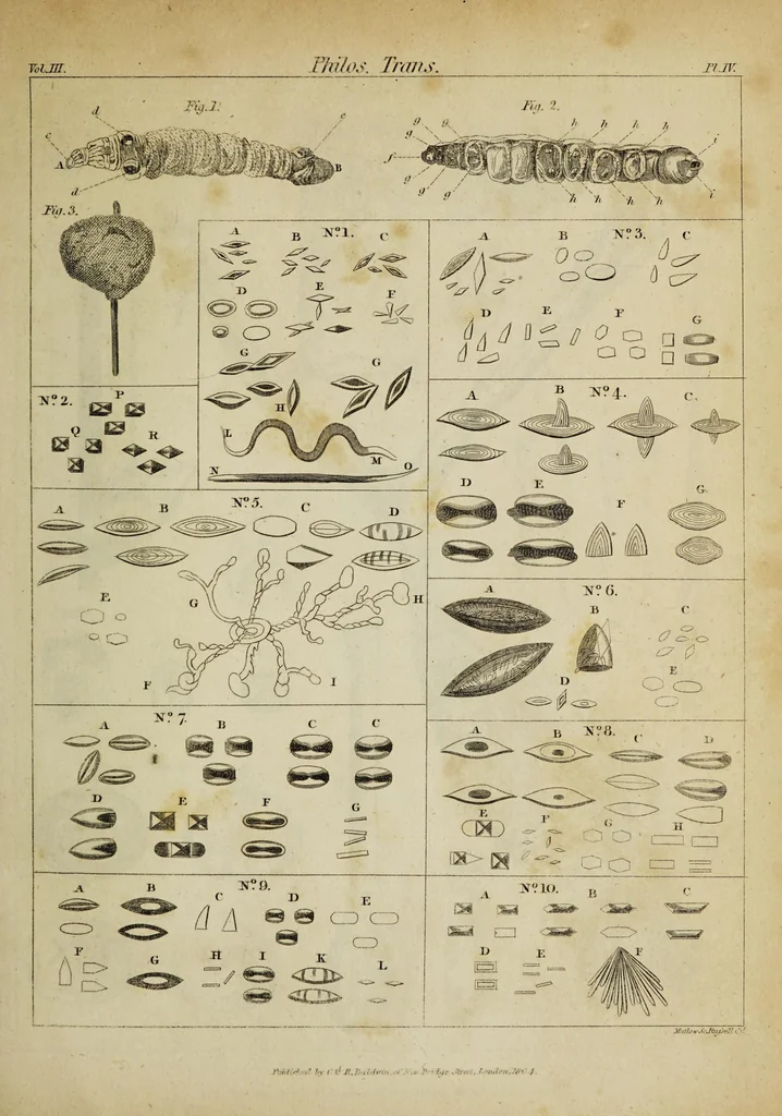 An illustration from The philosophical transactions of the Royal Society of London, from their commencement, in 1665, to the year 1800 : abridged, with notes and biographical illustrations / by Charles Hutton, George Shaw, Richard Pearson. Volume 3, 1683-1694., 1694, leaf 27