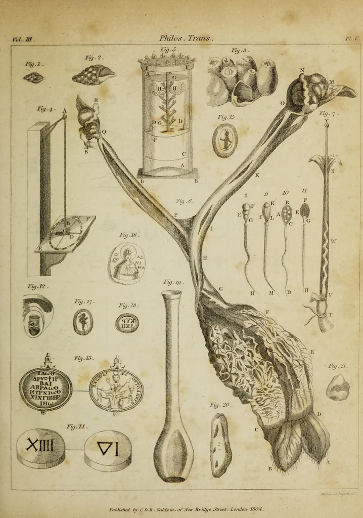 An illustration from The philosophical transactions of the Royal Society of London, from their commencement, in 1665, to the year 1800 : abridged, with notes and biographical illustrations / by Charles Hutton, George Shaw, Richard Pearson. Volume 3, 1683-1694., 1694, leaf 29