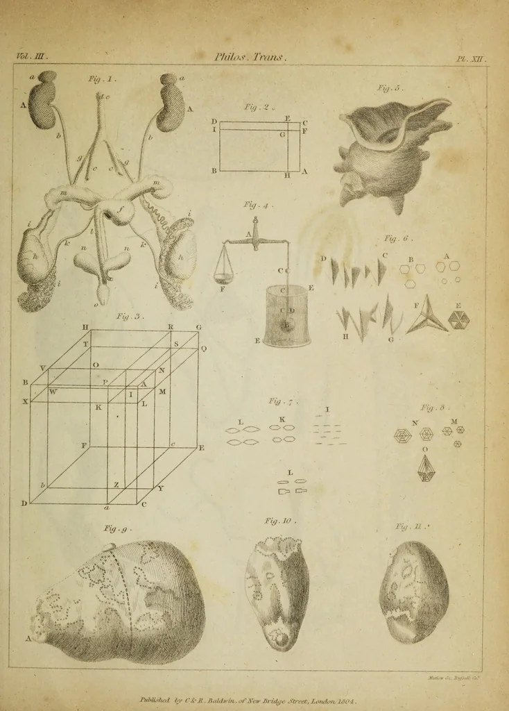 An illustration from The philosophical transactions of the Royal Society of London, from their commencement, in 1665, to the year 1800 : abridged, with notes and biographical illustrations / by Charles Hutton, George Shaw, Richard Pearson. Volume 3, 1683-1694., 1694, leaf 43
