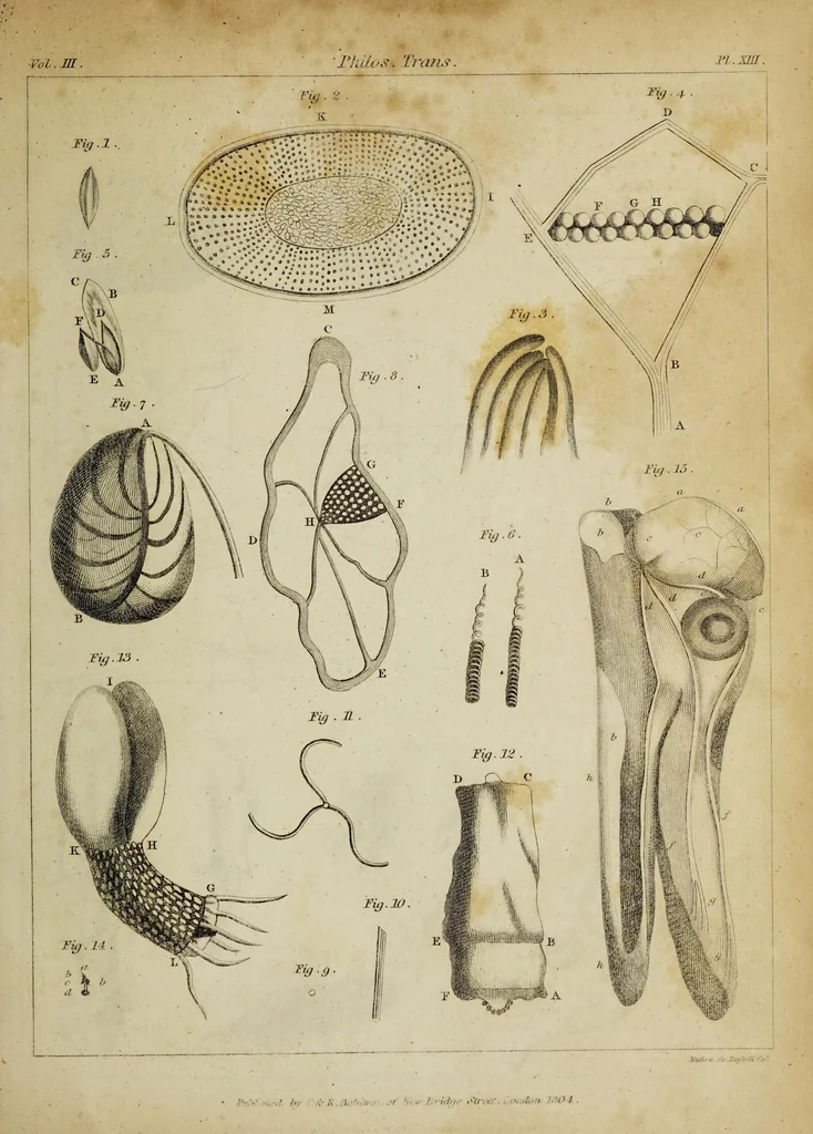 An illustration from The philosophical transactions of the Royal Society of London, from their commencement, in 1665, to the year 1800 : abridged, with notes and biographical illustrations / by Charles Hutton, George Shaw, Richard Pearson. Volume 3, 1683-1694., 1694, leaf 45