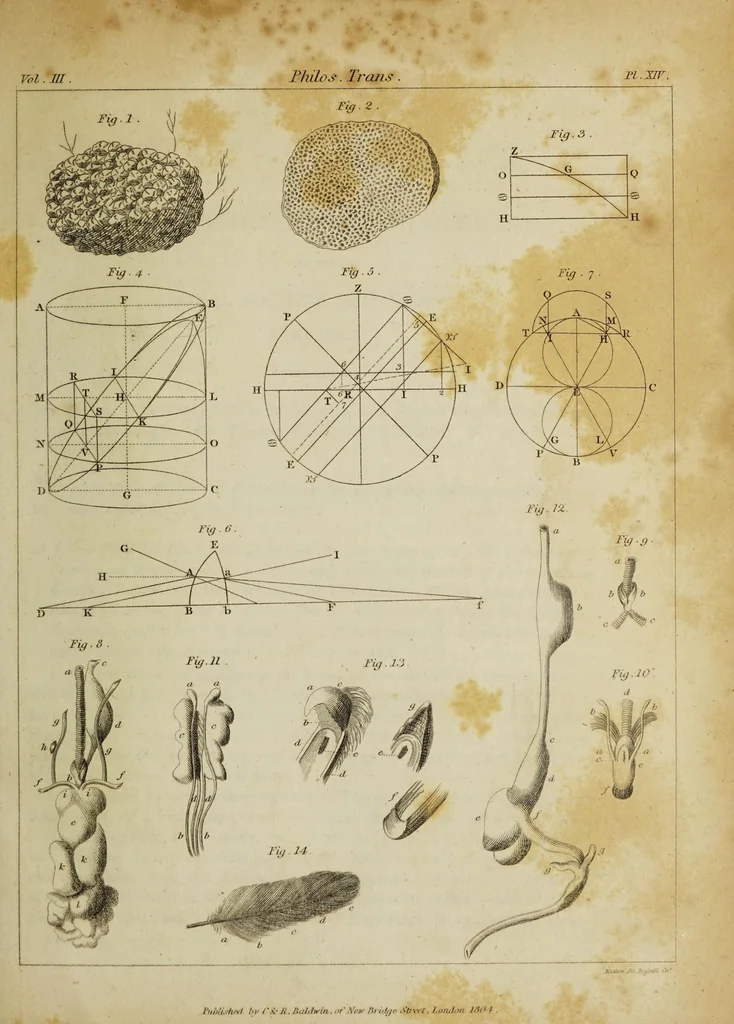 An illustration from The philosophical transactions of the Royal Society of London, from their commencement, in 1665, to the year 1800 : abridged, with notes and biographical illustrations / by Charles Hutton, George Shaw, Richard Pearson. Volume 3, 1683-1694., 1694, leaf 47
