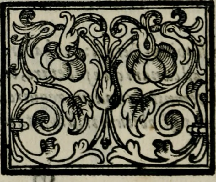 An illustration from Sacra emblemata LXXVI : in quibus summa unius cuiusq[ue] evangelii rotunde adumbratur : das ist, Sechsundsibentzig geistliche figürlein in welchen eines ieder evangelij summa kürtzlichen wird abgebildet, 1625, leaf 71