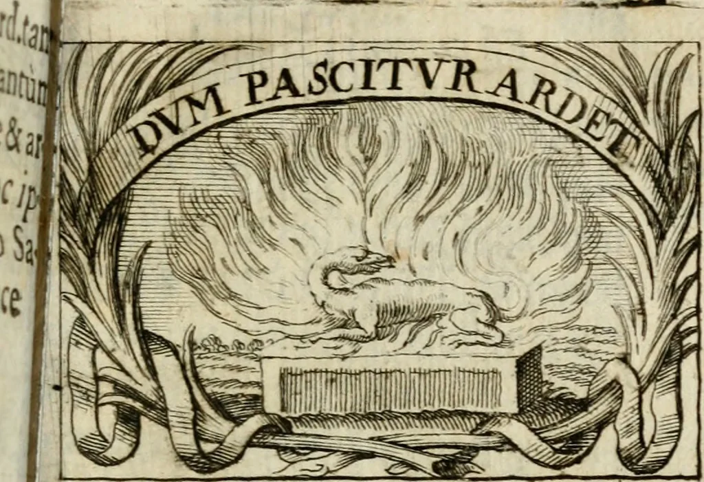 An illustration from Sacra mystarum hebdomada, sive, Quotidiana pro sacerdotibus piè celebrandi : septenaria verò pro laicis, devotè communicandi formula, sacris, è litteris, 1700, leaf 104