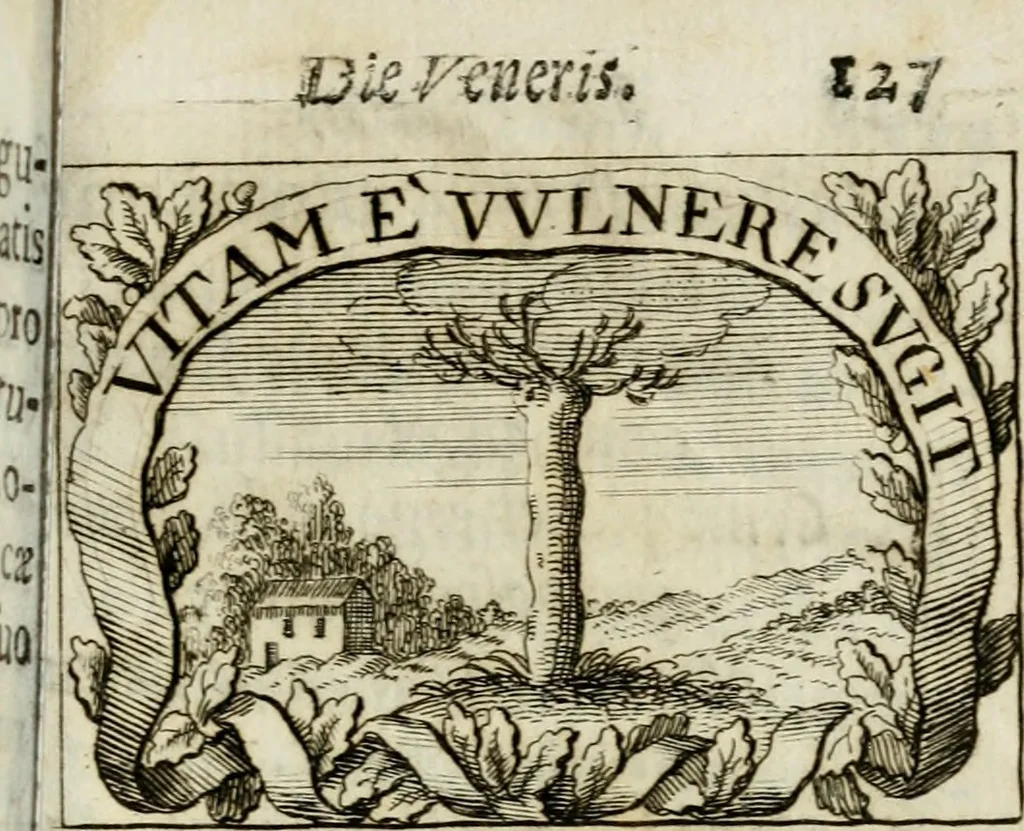 An illustration from Sacra mystarum hebdomada, sive, Quotidiana pro sacerdotibus piè celebrandi : septenaria verò pro laicis, devotè communicandi formula, sacris, è litteris, 1700, leaf 132