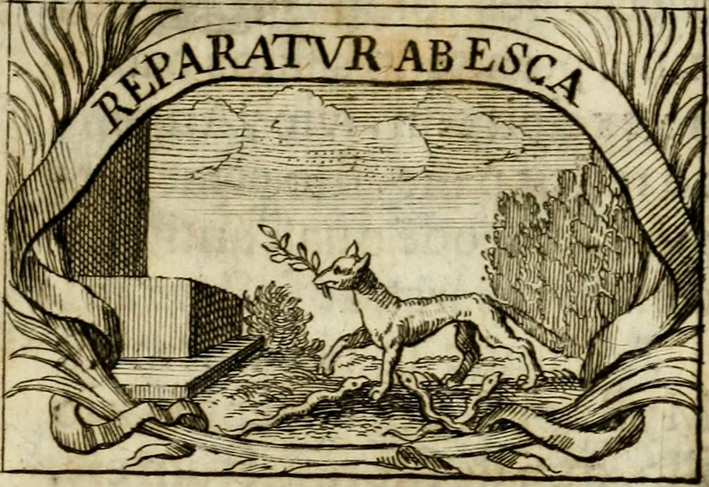 An illustration from Sacra mystarum hebdomada, sive, Quotidiana pro sacerdotibus piè celebrandi : septenaria verò pro laicis, devotè communicandi formula, sacris, è litteris, 1700, leaf 23
