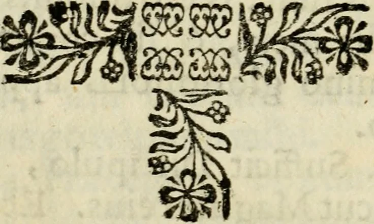 An illustration from Sacra mystarum hebdomada, sive, Quotidiana pro sacerdotibus piè celebrandi : septenaria verò pro laicis, devotè communicandi formula, sacris, è litteris, 1700, leaf 85