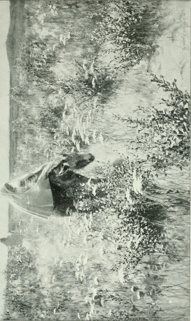 An illustration from Sacred art; the Bible story pictured by eminent modern painters;, 1903, leaf 290