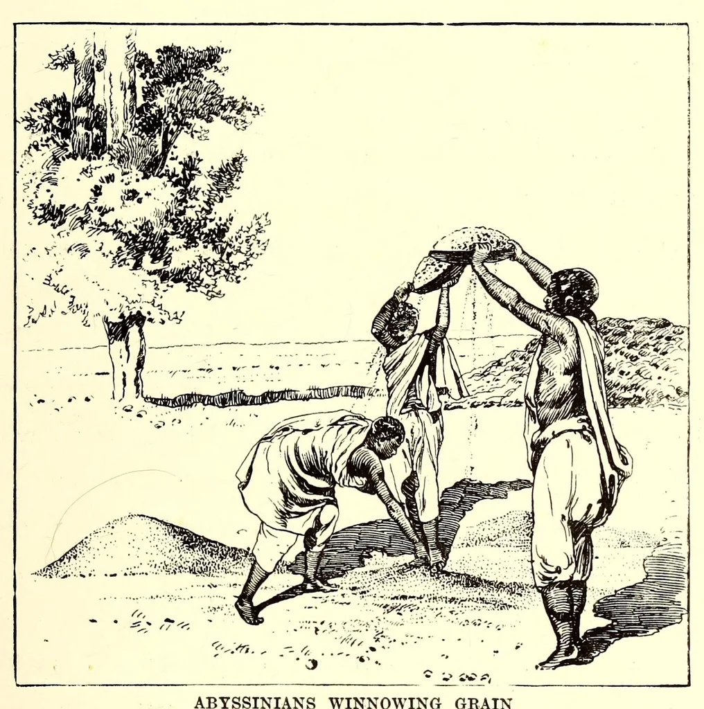 An illustration from The sacred city of the Ethiopians, being a record of travel and research in Abyssinia in 1893, 1896, leaf 115