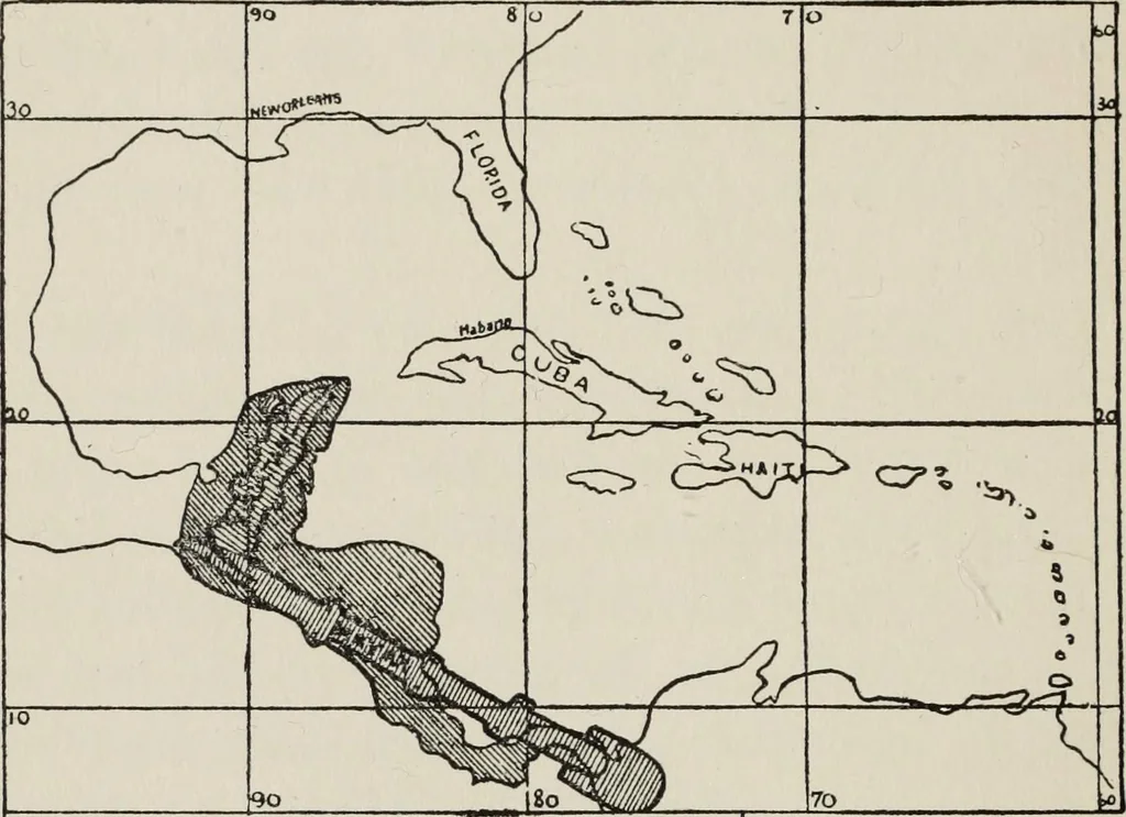 An illustration from Sacred mysteries among the Mayas and the Quiches, 11,500 years ago ; their relation to the sacred mysteries of Egypt, Greece, Chaldea and India; Free Masonry in times anterior to the Temple of Solomon, 1909, leaf 169