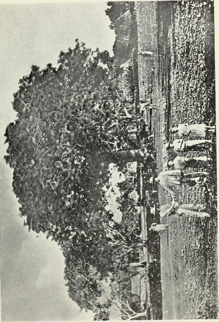 An illustration from Sacred mysteries among the Mayas and the Quiches, 11,500 years ago ; their relation to the sacred mysteries of Egypt, Greece, Chaldea and India; Free Masonry in times anterior to the Temple of Solomon, 1909, leaf 174